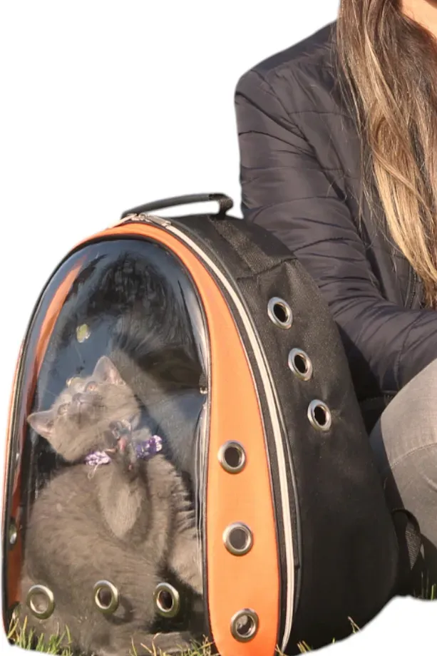 Astronot Kırılmaz Kedi Köpek Taşıma Çantası 42 X 22 X 33 Cm Siyah Turuncu